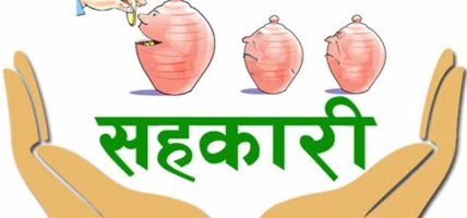 समस्याग्रस्त चार सहकारीका ऋणीको नामावली सार्वजनिक