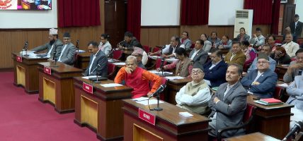 सुशासनका योजना लैङ्गिक उत्तरदायी हुनुपर्छ : उपाध्यक्ष भण्डारी