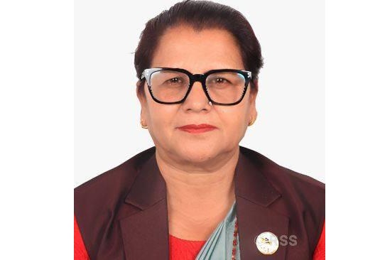 राष्ट्रियसभाका उपाध्यक्ष भण्डारीको राजनीतिक यात्रा