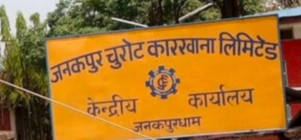 जचुकाली पुनः सञ्चालन नगर्न नेपाल विकास अनुसन्धान प्रतिष्ठानको सरकारलाई आग्रह