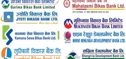 राष्ट्रिय स्तरका विकास बैंकको नाफा ४९ प्रतिशतले बढ्यो