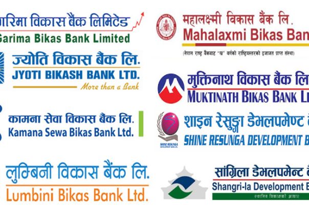 राष्ट्रिय स्तरका विकास बैंकको नाफा ४९ प्रतिशतले बढ्यो