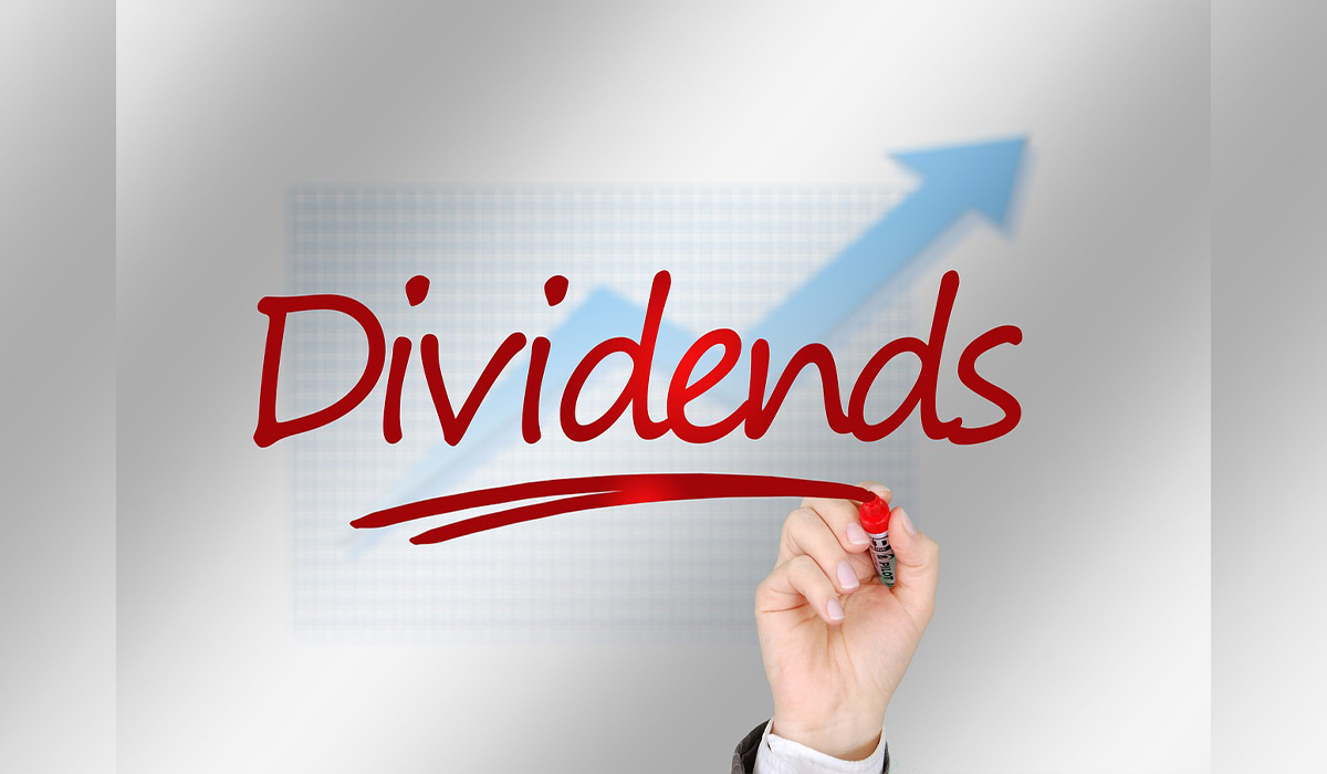 प्रोफेसनल होल्डिङ्सले सेयरधनीलाई ५० प्रतिशत बोनस सेयर दिने