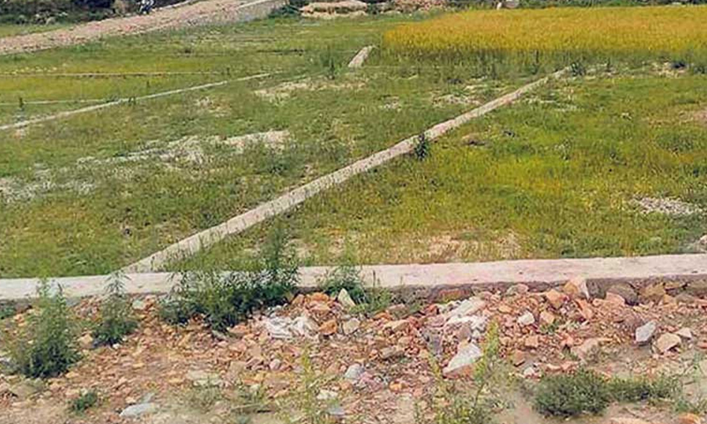 सिमरा सेजको चार सय नब्बे बिघा जमिन अतिक्रमित