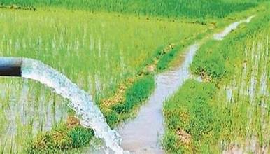 पन्ध्र करोड लागतका ९९ सिँचाइ आयोजना कार्यान्वयन गरिँदै