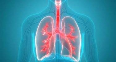 लालझाडीमा ७४८ जनाको निःशुल्क क्षयरोग परीक्षण