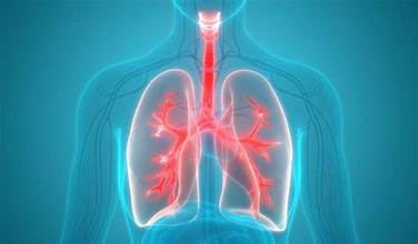 लालझाडीमा ७४८ जनाको निःशुल्क क्षयरोग परीक्षण