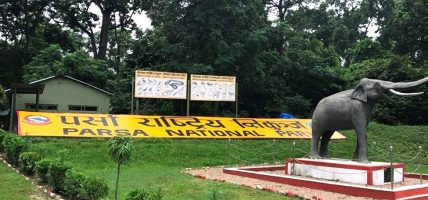 पर्यटकहरुको आकर्षणको केन्द्र बन्दै पर्सा राष्ट्रिय निकुञ्ज