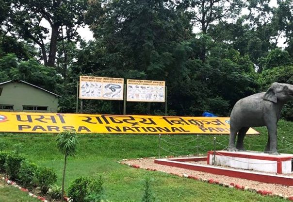 पर्यटकहरुको आकर्षणको केन्द्र बन्दै पर्सा राष्ट्रिय निकुञ्ज