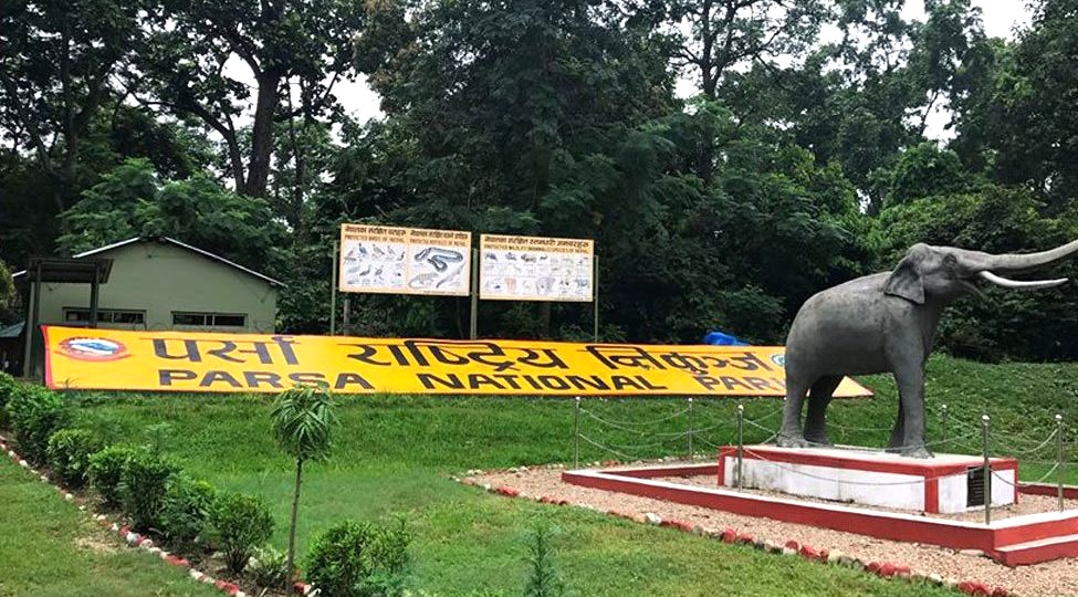 पर्यटकहरुको आकर्षणको केन्द्र बन्दै पर्सा राष्ट्रिय निकुञ्ज