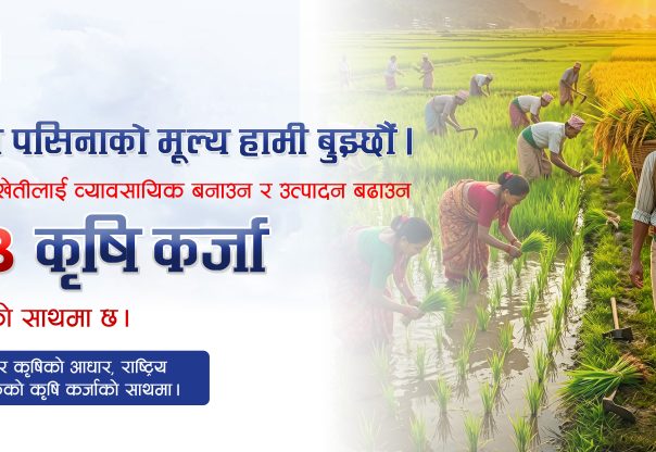 प्राथमिकताका साथ कृषिमा लगानी बढाउँदै राष्ट्रिय वाणिज्य बैंक