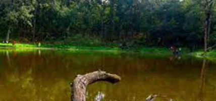 गर्मी बढेसँगै शुक्लाफाँटामा सुक्न थाले ताल