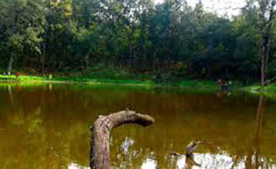 गर्मी बढेसँगै शुक्लाफाँटामा सुक्न थाले ताल