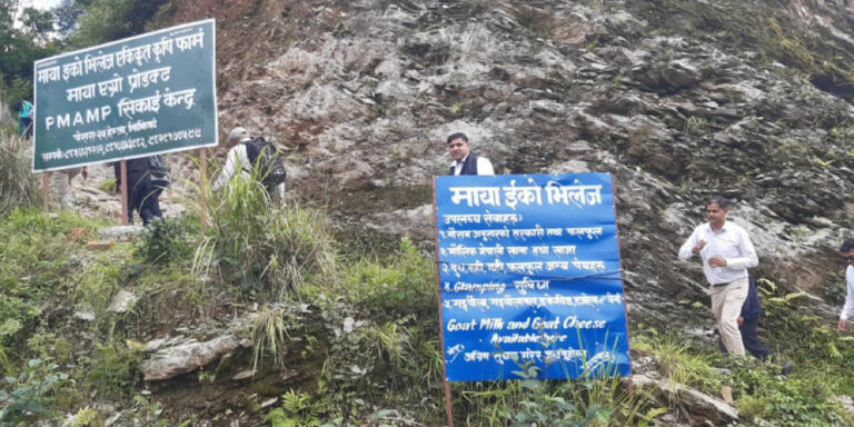 कृषि सिकाइको पाठशाला बन्दै कडरिया एकीकृत कृषि फर्म