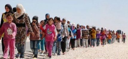 करिब एक हजार अफगान शरणार्थी परिवारहरू एकै दिनमा स्वदेश फिर्ता