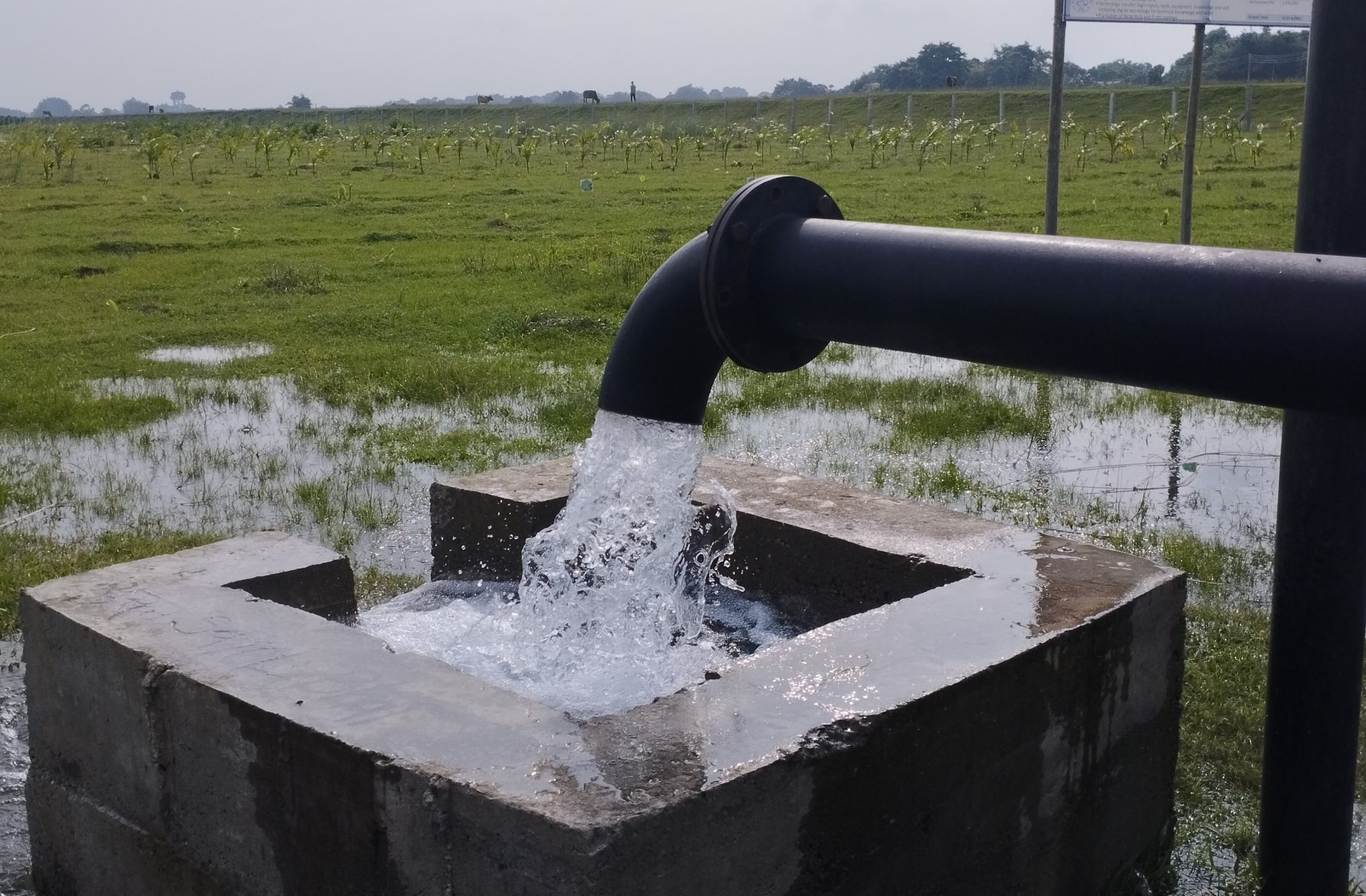 सिँचाइ दिवसः चितवनको ३८ प्रतिशत जमिन सिँचाइविहीन