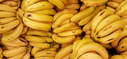 आज केराको मूल्य प्रतिदर्जन २५० रुपैयाँ पुग्यो