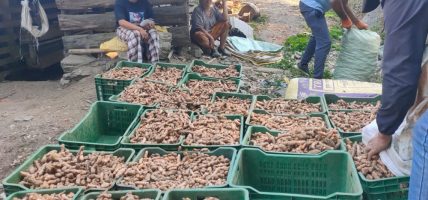 खाद्यान्नमा आत्मनिर्भर बन्न ‘एक वडा, एक उत्पादन’