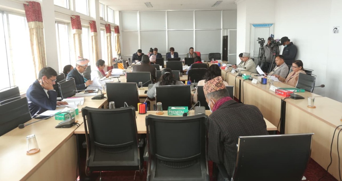 संसदीय समितिका सभापतिको निर्वाचन शुक्रबार