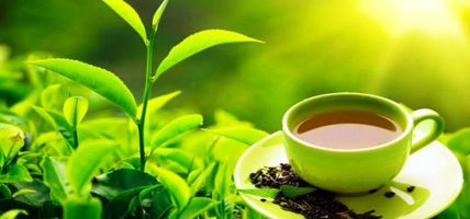 कुटनीतिक पहलमार्फत चिया निर्यातमा देखएिको अवरोध हटाउन माग