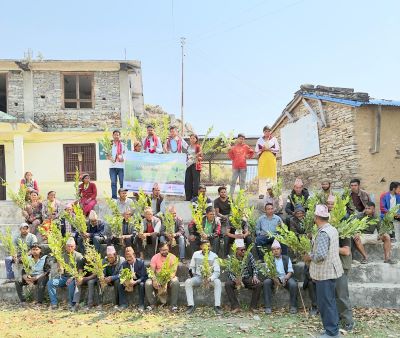 सानिमा जिआइसी इन्स्योरेन्सद्वारा बाजुरामा १००० कागतीका विरुवा वितरण