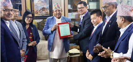 निर्वाचनसम्बन्धी प्रतिवेदन आयोगसमक्ष प्रस्तुत