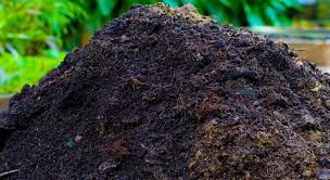 पर्वतको जलजलामा बायो कम्पोष्ट मल उद्योग सञ्चालन