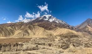 उपल्लो मुस्ताङमा वन्यजन्तु पीडितलाई राहत वितरण