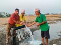 ‘डिप ट्युबवेल’ जडानसँगै सिँचाइको असुविधा हट्यो