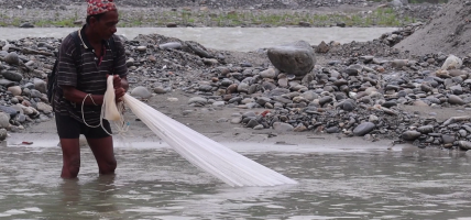 नदीमा माछा पाइन छाडेपछि पुर्ख्यौली पेसा सङ्कटमा