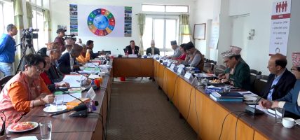 विकास आर्थिक समितिमा आगामि आर्थिक वर्षको बजेट तर्जुमाको तयारीबारेमा छलफल