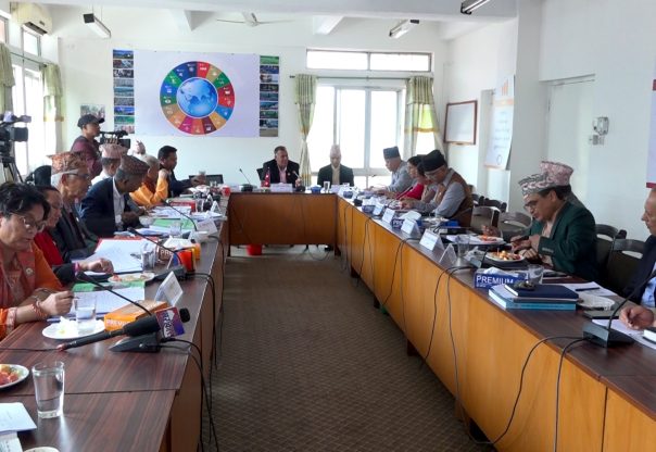 विकास आर्थिक समितिमा आगामि आर्थिक वर्षको बजेट तर्जुमाको तयारीबारेमा छलफल