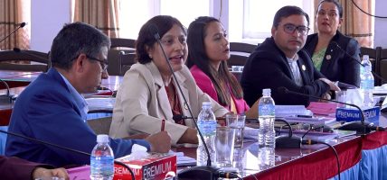 प्रतिनिधि सभा नयाँ नियमावली मस्यौदा तयार : कार्यपालिकालाई ३० दिनभित्र प्रगति विवरण बुझाउनुपर्ने व्यवस्था