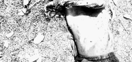 बाजुरामा भैँसी चराउन गएका एक बालकको मृत्यु