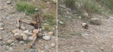 सर्लाहीमा टाउको र शरीर छुट्टिएको अवस्थामा मानव कङ्काल फेला