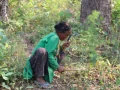 प्रकृति टाढिँदा अस्तित्वको लडाइँमा लोपोन्मुख–सीमान्तकृत आदिवासी