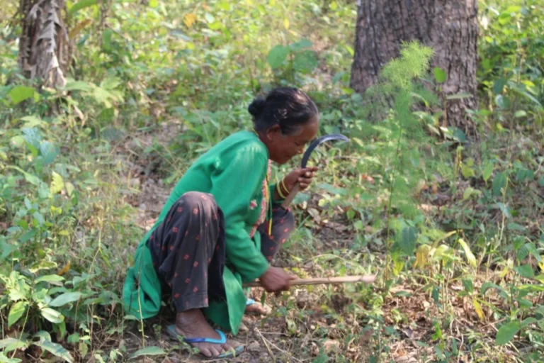 प्रकृति टाढिँदा अस्तित्वको लडाइँमा लोपोन्मुख–सीमान्तकृत आदिवासी