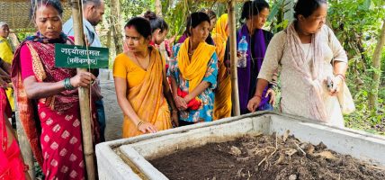 रासायनिक मललाई प्रतिस्थापन गर्दै गँड्यौला मल