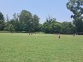 एचसिए सुवर्णशमशेर स्मृति क्रिकेट लिग प्रतियोगिता : हिमालयन, पल्सर सिइसी र डिएभीले जिते खेल