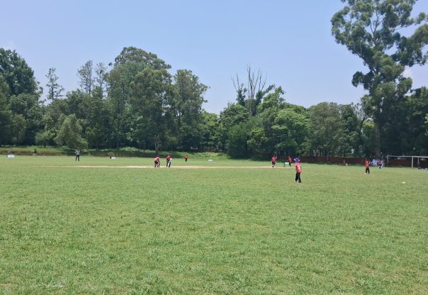 एचसिए सुवर्णशमशेर स्मृति क्रिकेट लिग प्रतियोगिता : हिमालयन, पल्सर सिइसी र डिएभीले जिते खेल एचसिए सुवर्णशमशेर स्मृति क्रिकेट लिग प्रतियोगिता : हिमालयन, पल्सर सिइसी र डिएभीले जिते खेल