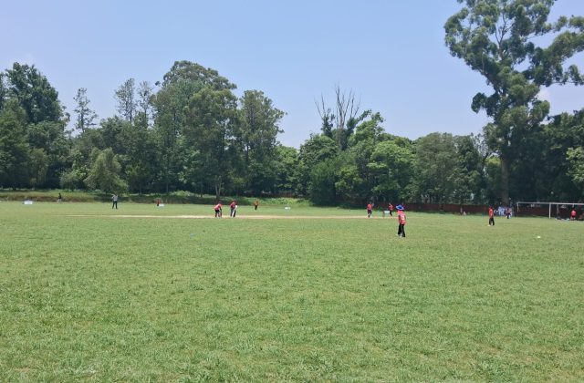 एचसिए सुवर्णशमशेर स्मृति क्रिकेट लिग प्रतियोगिता : हिमालयन, पल्सर सिइसी र डिएभीले जिते खेल एचसिए सुवर्णशमशेर स्मृति क्रिकेट लिग प्रतियोगिता : हिमालयन, पल्सर सिइसी र डिएभीले जिते खेल