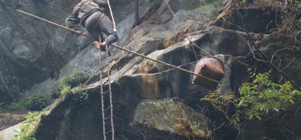 खोटाङमा ‘हनी हन्टिङ’ महोत्सव