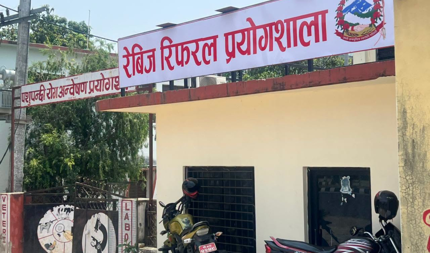 पशुपन्छी रोग अन्वेषण प्रयोगशालालाई ‘राष्ट्रिय रेबिज रिफरल प्रयोगशाला’को जिम्मेवारी