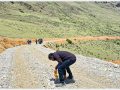 ढोरपाटन–निसेलढोर सडक स्तरोन्नति ढोरपाटन–निसेलढोर सडक स्तरोन्नति