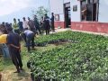 महाभारतमा सात हजार कफीका बिरुवा वितरण