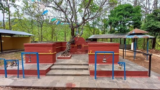 मन्दिर निर्माण गर्न ‘विराट ज्ञानमहायज्ञ’मार्फत एक करोड  सङ्कलन