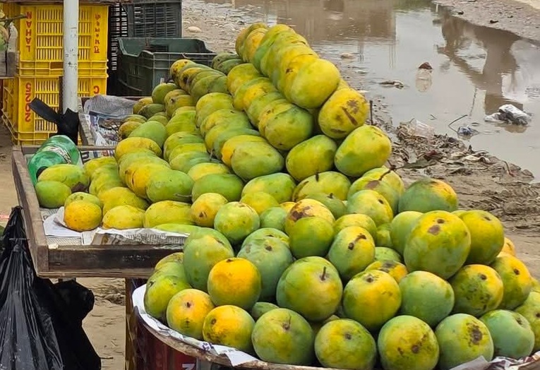 रौतहटका बजारमा विषादीयुक्त आँपको बिगबिगी, प्रतिकेजी २४० सम्ममा बिक्री