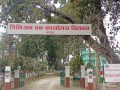 सडक किनारका जोखिमयुक्त रुख हटाउँदै वन कार्यालय