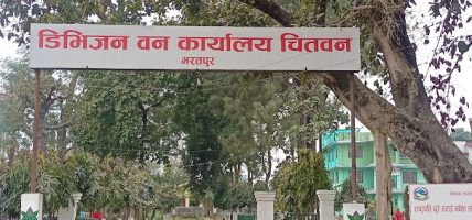 सडक किनारका जोखिमयुक्त रुख हटाउँदै वन कार्यालय