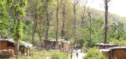 चितवनमा कबुलियती वन संरक्षण र प्रवर्द्धन अभियान